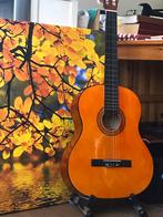 Gitaar klassiekers Spaans, Muziek en Instrumenten, Ophalen of Verzenden, Zo goed als nieuw, Klassieke of Spaanse gitaar, Met koffer