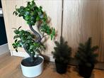 Kunstplant Bonsai boom (Fejka van Ikea), Huis en Inrichting, Woonaccessoires | Kunstplanten en Kunstbloemen, Ophalen of Verzenden