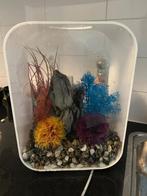 Biorb 15 liter aquarium, incl led licht en toebehoren, Dieren en Toebehoren, Ophalen of Verzenden, Zo goed als nieuw, Verlichting of Verwarming