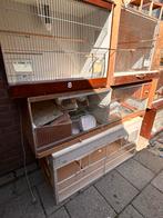 6 broedkooien te koop, Ophalen, Gebruikt, Hout, Broedkooi of Kweekkooi
