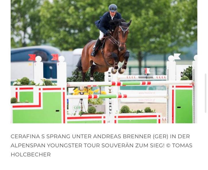 Fokmerrie, Dieren en Toebehoren, Paarden en Pony's | Dekhengsten en Fokmerries, Merrie