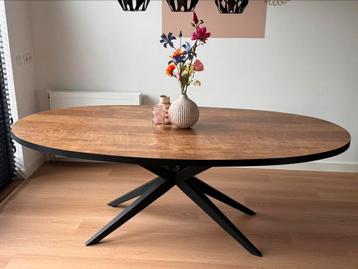 Eettafel Stilo | Ovaal | 220 x 120 cm | Old Teak | Melamine beschikbaar voor biedingen