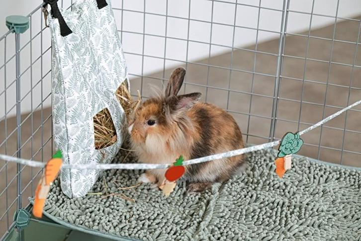 Zolux collectie voor cavia's en konijnen NIEUW, Dieren en Toebehoren, Knaagdieren en Konijnen | Toebehoren, Nieuw, Overige typen