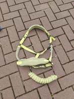 Lemieux halster groen met touw NIEUWSTAAT, Dieren en Toebehoren, Paarden en Pony's | Hoofdstellen en Tuigage, Ophalen of Verzenden