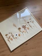 Geperste bloemen wand decoratie, Ophalen, Zo goed als nieuw