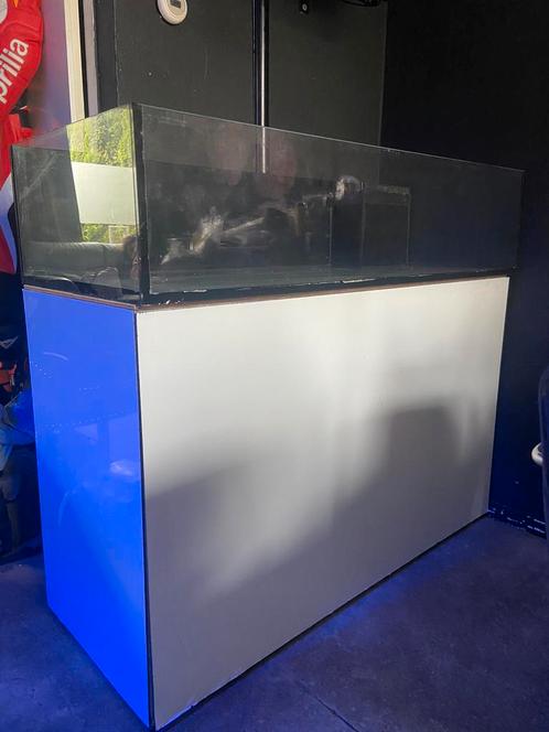Shallow reef /stekken bak, Dieren en Toebehoren, Vissen | Aquaria en Toebehoren, Gebruikt, Ophalen