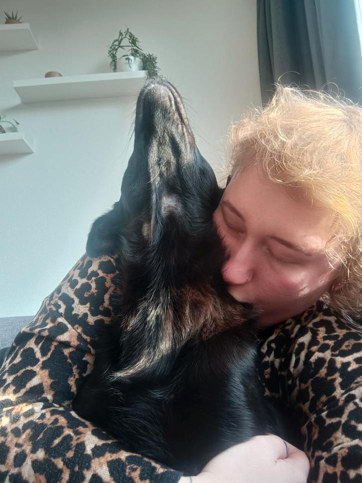 Onze lieve hond Ema zoekt met SPOED een liefdevol thuis ️!, Dieren en Toebehoren, Honden | Niet-rashonden, Middel, Teef, Particulier