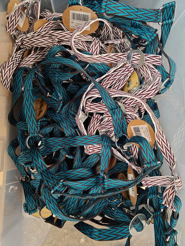 Partij 20 halsters kavalkade maat Pony, Dieren en Toebehoren, Paarden en Pony's | Hoofdstellen en Tuigage, Nieuw, Overige soorten