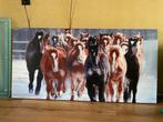Groot Paarden Canvas, 50 tot 75 cm, Ophalen of Verzenden, Zo goed als nieuw, Schilderij