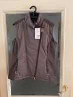 Bodywarmer Daily maat xl, Sport en Fitness, Golf, Ophalen of Verzenden, Nieuw, Kleding, Overige merken