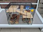 Hok voor (dwerg-) hamster, muis etc: met alle toebehoren, Hamster, Minder dan 75 cm, Zo goed als nieuw, Hok