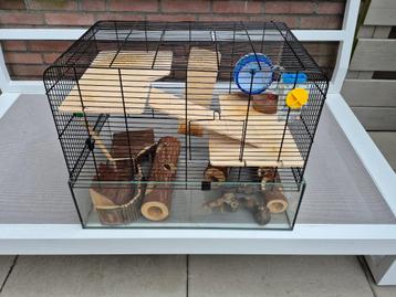 Hok voor (dwerg-) hamster, muis etc: met alle toebehoren beschikbaar voor biedingen