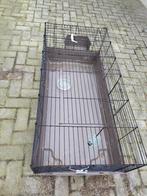 Cavia hok, Konijn, Hok, Ophalen, Minder dan 60 cm