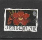 Jersey mi nr 425 voor W.Feenstra, Ophalen of Verzenden, Gestempeld