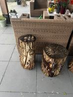 Boomstam, Ophalen of Verzenden, Zo goed als nieuw