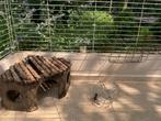 Konijnen/ Cavia hok Ferplast, Gebruikt, Cavia, Hok, Ophalen