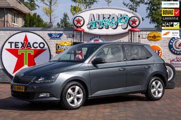 Skoda Fabia 1.2 TSI JOY 30.300 km + NAP NL-auto beschikbaar voor biedingen