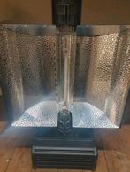 12 x lumenking 1000w + controller / dimlux kweeklampen, Tuin en Terras, Ophalen, Zo goed als nieuw