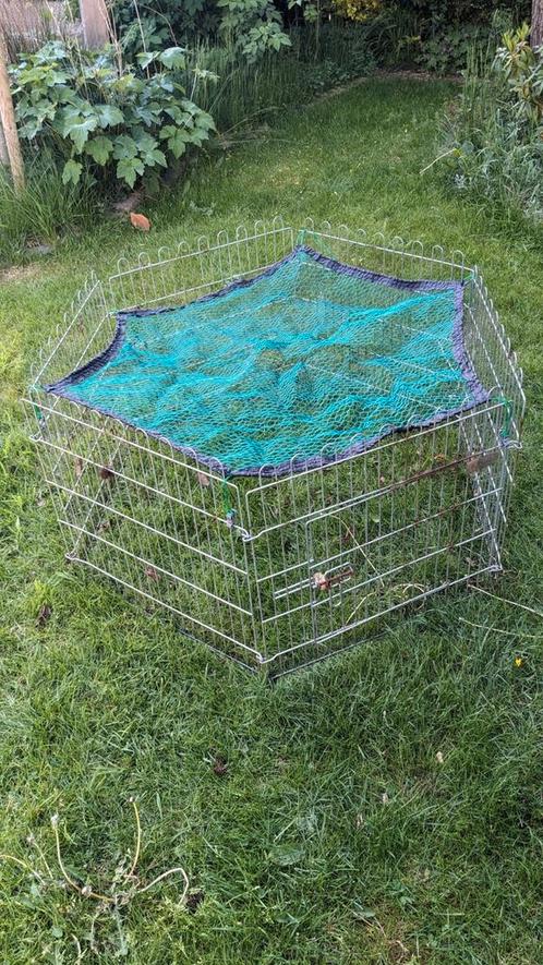 Konijnenren van metaal met beschermnet, Dieren en Toebehoren, Knaagdieren en Konijnen | Hokken en Kooien, Gebruikt, Ren, Minder dan 60 cm