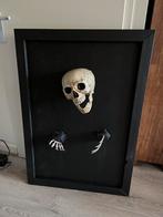 Halloween decoratie, Ophalen, Zo goed als nieuw, Versiering, Halloween of Griezel