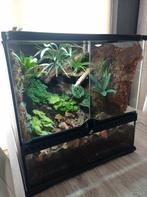 Gifkikker Paludarium, Dieren en Toebehoren, Reptielen en Amfibieën | Toebehoren, Ophalen, Zo goed als nieuw, Terrarium of Paludarium