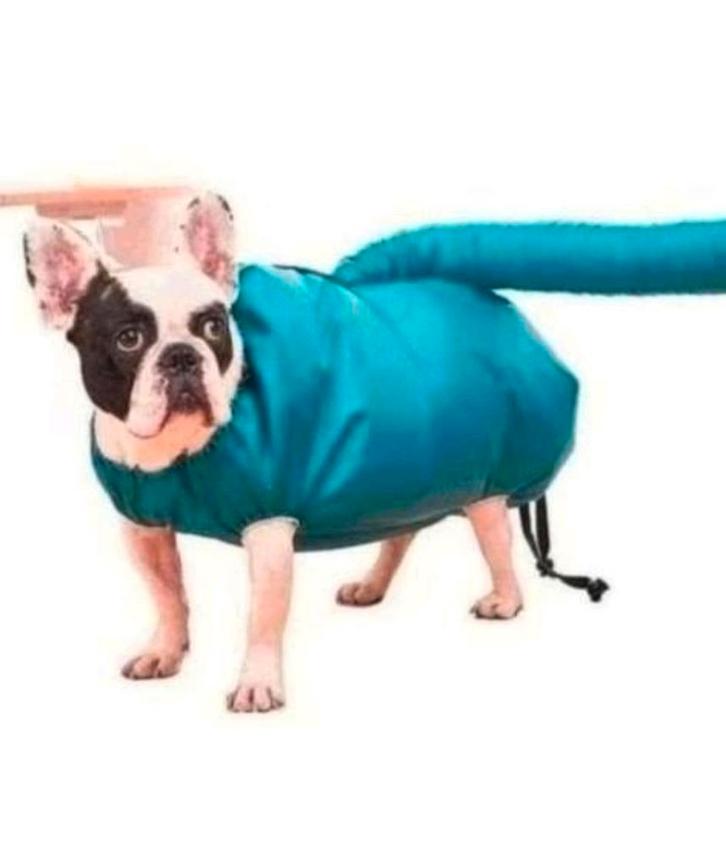 Honden droogpak. Werkt met föhn. Nieuw. Groen nog aanwezig, Dieren en Toebehoren, Honden-accessoires, Nieuw, Ophalen of Verzenden