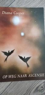Op Weg Naar Ascensie - Diana Cooper, Boeken, Gelezen, Achtergrond en Informatie, Spiritualiteit algemeen, Ophalen of Verzenden