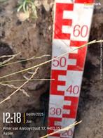 Straten maker gezocht, Diensten en Vakmensen, Tuinmannen en Stratenmakers