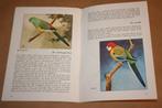 Parkieten: huisvesting voeding verzorging kweken. ca 1960, Ophalen of Verzenden, Gelezen