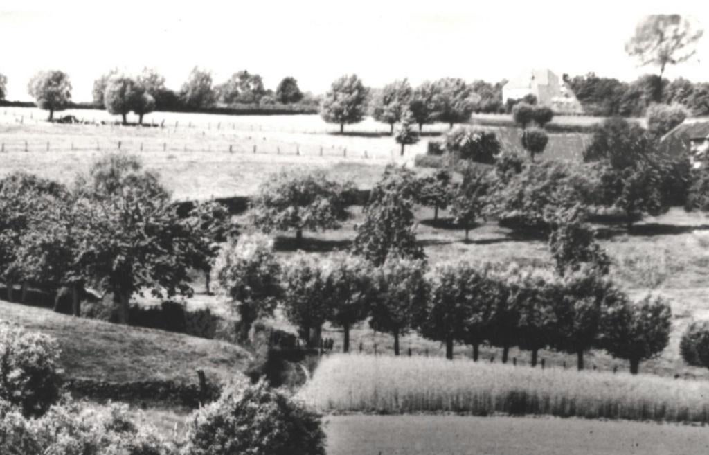 965521 Epen Limburg Wandelweg bij Hotel ons Krijtland 1959, Ophalen of Verzenden, 1940 tot 1960, Gelopen, Limburg