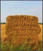 balen stro, Dieren en Toebehoren, Dierenvoeding, Ophalen, Vee