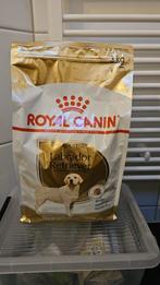 3 kg bag of Royal Canin Labrador Retriever Adult Hondenvoer, Dieren en Toebehoren, Dierenvoeding, Ophalen, Hond