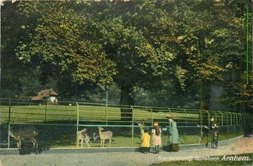 (387-161-049) Arnhem Hertenkamp beschikbaar voor biedingen