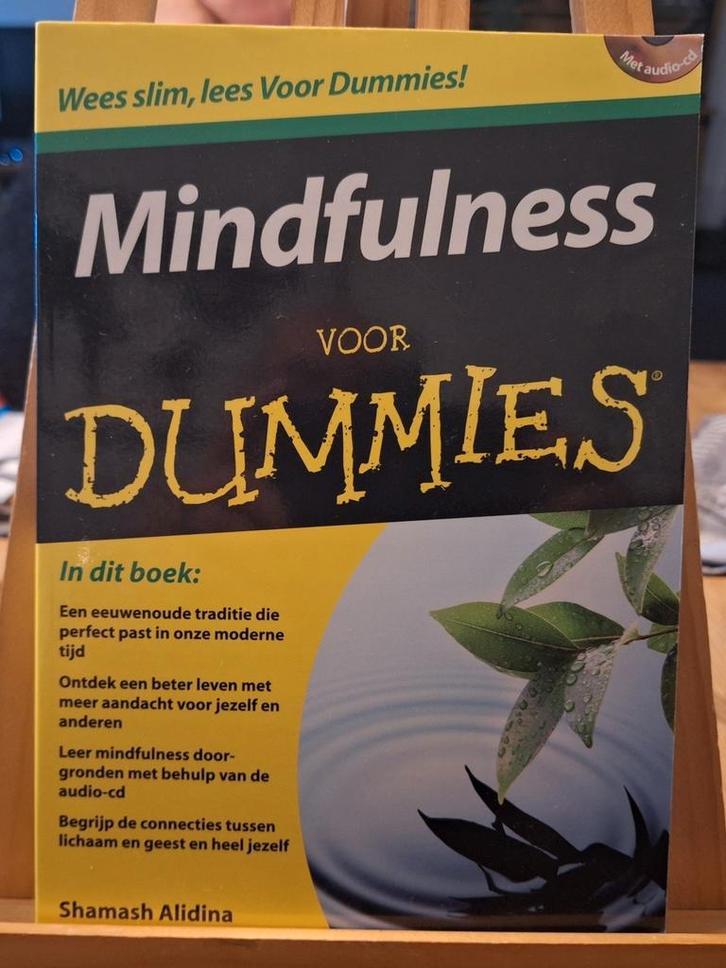 Shamash Alidina - Mindfulness voor Dummies, Boeken, Psychologie, Zo goed als nieuw, Ophalen of Verzenden