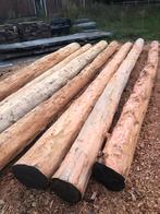 Ronde balken | rondhout palen met harde kern. Douglas Lariks, Ophalen, Gebruikt, 250 cm of meer, Palen