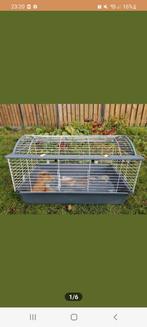 Prachtig ruim konijnenverblijf cavia konijn hok kooi 95cm, Cavia, Zo goed als nieuw, Hok, Ophalen