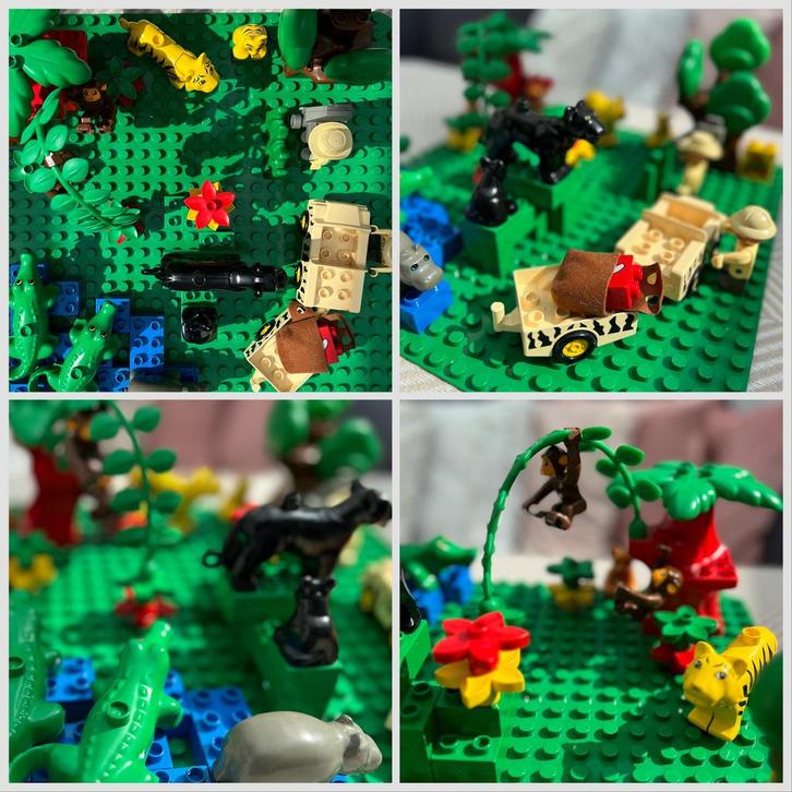 lego duplo Jungle, Kinderen en Baby's, Speelgoed | Duplo en Lego, Gebruikt, Duplo, Complete set, Ophalen of Verzenden