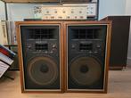 Prachtige gereviseerde buizenset met phono-pre!, Audio, Tv en Foto, Buizenversterkers, Ophalen, Versterker