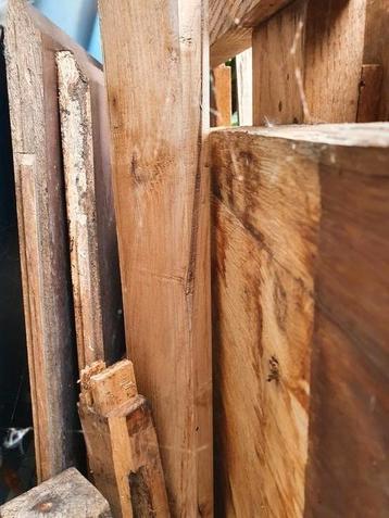 Hout (Frans eikenhout) beschikbaar voor biedingen