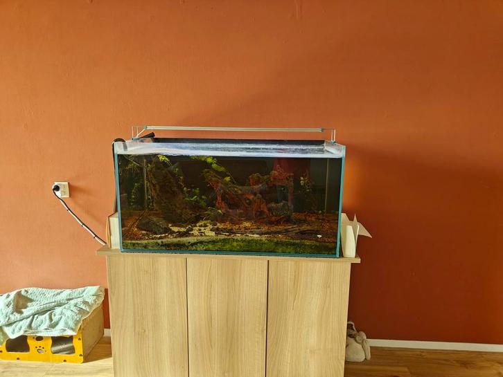 Aquarium en toebehoren, Dieren en Toebehoren, Vissen | Aquaria en Toebehoren, Gebruikt, Gevuld zoetwateraquarium, Ophalen
