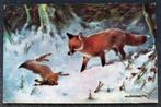 De vos kijkt naar eerder door haar gevangen haas, 1924, Ophalen of Verzenden, Voor 1920, Gelopen, Wild dier