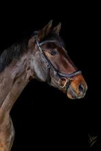 Rambo micklem competition deluxe maat Full, Dieren en Toebehoren, Paarden en Pony's | Hoofdstellen en Tuigage, Ophalen of Verzenden