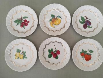Rheinpfalz Germany - 6 Porseleinen Fruit Bordjes beschikbaar voor biedingen