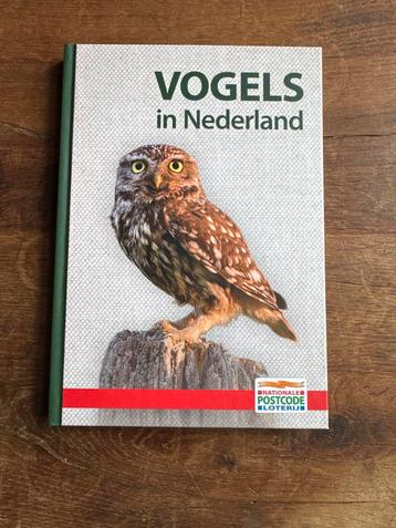 Vogels in Nederland - Prachtig Vogelboek beschikbaar voor biedingen