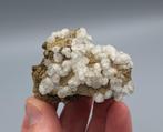 Chabaziet var. Phacoliet - Tasmanië, Australië, Ophalen of Verzenden, Mineraal