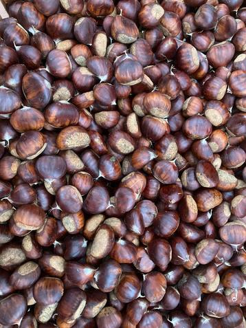 Tamme kastanjes 27 kilo beschikbaar voor biedingen