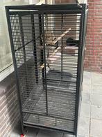 Vogels en papegaaikooi