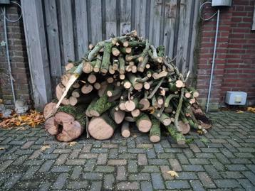 brandhout amber boom beschikbaar voor biedingen