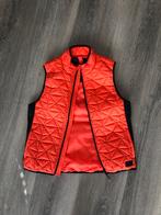 Bodywarmer Björn Borg maat 40/L, Kleding | Dames, Bodywarmers, Björn Borg, Oranje, Maat 38/40 (M), Ophalen of Verzenden