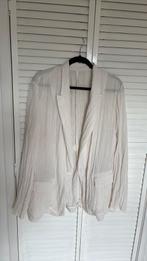 Zara jasje maat XL, Ophalen of Verzenden, Zo goed als nieuw, Maat 46/48 (XL) of groter